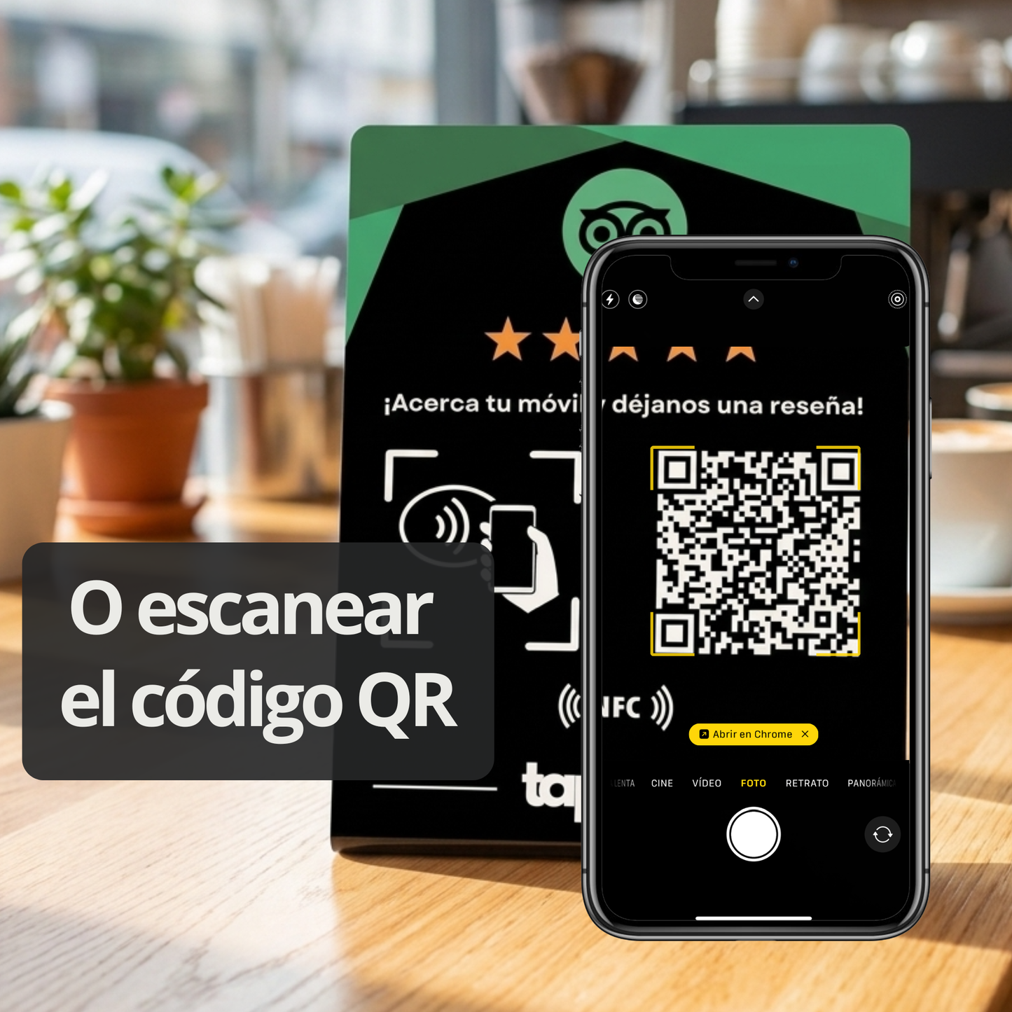 Expositor Reseñas Tripadvisor
